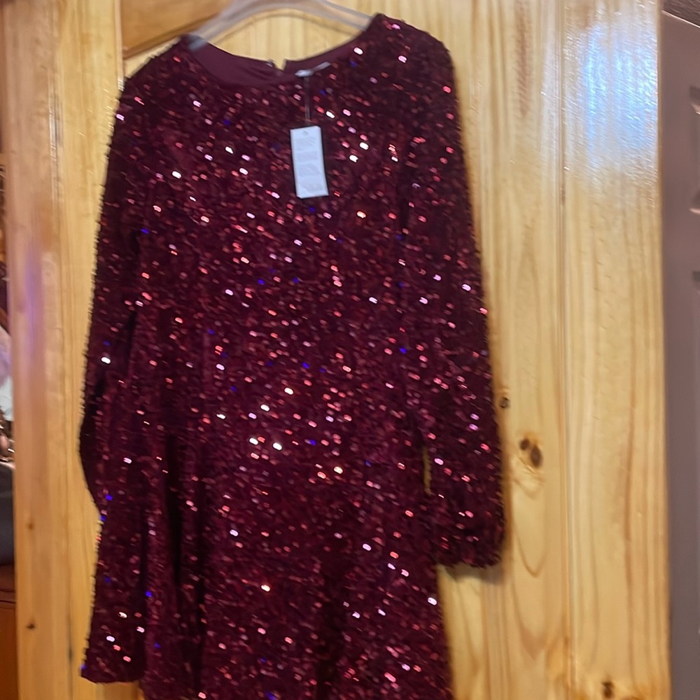 Beautiful Sequin Dress